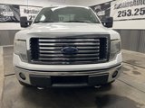 Used 2010 Ford F150 XLT image 5
