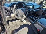 Used 2019 Ford F150 XL w/ Equipment Group 101A Mid image 2