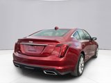 Used 2024 Cadillac CT5 Premium Luxury w/ Platinum Package image 5