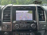 Used 2019 Ford F150 XLT w/ Equipment Group 302A Luxury image 4