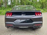 Used 2024 Ford Mustang GT image 4
