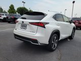 Used 2018 Lexus NX 300h AWD image 3