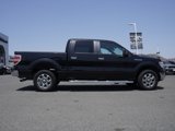 Used 2014 Ford F150 XLT w/ Equipment Group 302A Luxury image 3