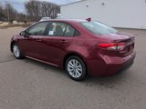 New 2025 Toyota Corolla LE w/ LE Premium Package image 3