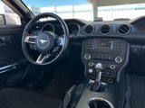 Used 2016 Ford Mustang Convertible w/ Equipment Group 051A image 5