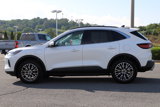 Certified 2025 Ford Escape SE image 5