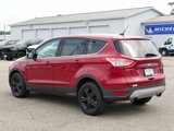 Used 2014 Ford Escape SE image 5