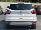 Used 2019 Ford Escape Titanium image 5