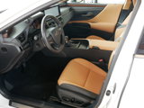 Certified 2025 Lexus ES 300h w/ Premium Package image 4