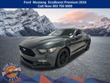 Used 2016 Ford Mustang Premium image 2