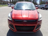 Used 2014 Ford Escape SE image 5