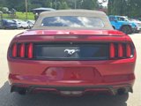 Used 2015 Ford Mustang Premium w/ Equipment Group 201A image 4