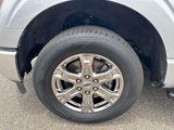 Used 2021 Ford F150 XLT w/ Equipment Group 302A High image 3