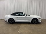 Used 2023 Ford Mustang Premium image 2