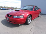 Used 2001 Ford Mustang GT Premium image 2