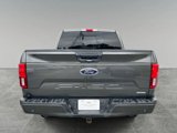 Used 2019 Ford F150 XLT w/ Equipment Group 302A Luxury image 4