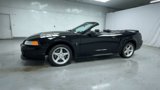 Used 1999 Ford Mustang Cobra image 4