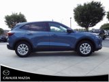 Used 2025 Ford Escape Active w/ Tech Pack #1 image 3