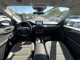 Certified 2022 Ford Escape SE w/ Convenience Package image 3
