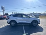 New 2025 Ford Escape ST-Line w/ Cold Weather Package image 4