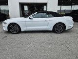 Used 2022 Ford Mustang Premium image 2