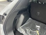 New 2025 Ford Escape Active w/ Cold Weather Package image 6