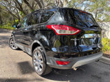 Used 2013 Ford Escape SEL image 4