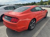 Used 2016 Ford Mustang Coupe w/ Equipment Group 051A image 4