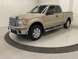 Used 2012 Ford F150 XLT w/ XLT Chrome Pkg image 2