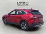 Used 2020 Ford Escape SEL image 3