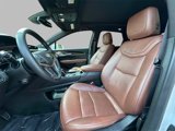 Used 2020 Cadillac XT5 Premium Luxury image 2