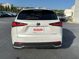Certified 2020 Lexus NX 300h AWD w/ Premium Package image 4