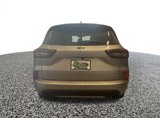 Used 2024 Ford Escape ST-Line image 5