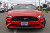 Used 2022 Ford Mustang Premium image 2