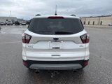 Used 2017 Ford Escape SE w/ Equipment Group 201A image 6