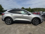 Certified 2020 Ford Escape SEL image 4