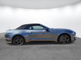 Used 2022 Ford Mustang Premium image 4
