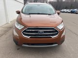 Used 2018 Ford EcoSport Titanium w/ Titanium Cold Weather Package image 6
