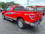 Used 2014 Ford F150 XLT w/ Equipment Group 302A Luxury image 6