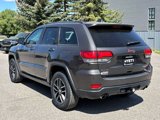 Used 2017 Jeep Grand Cherokee Trailhawk w/ Trailhawk Luxury Group image 6