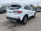 Certified 2022 Ford Escape SEL image 4