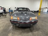 Used 1987 Ford Thunderbird image 2