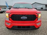 Used 2021 Ford F150 XL w/ Equipment Group 101A High image 2