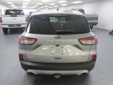 Used 2021 Ford Escape SEL w/ Technology Package image 5