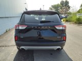 Certified 2022 Ford Escape SE w/ Cold Weather Package image 5