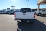Used 2019 Ford F150 XLT image 5