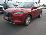 Used 2025 Ford Escape Active w/ Tech Pack #1 image 6