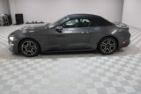 Used 2019 Ford Mustang Premium image 4