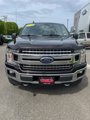 Used 2019 Ford F150 XLT w/ Equipment Group 302A Luxury image 4