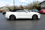 Used 2019 Ford Mustang Premium image 4